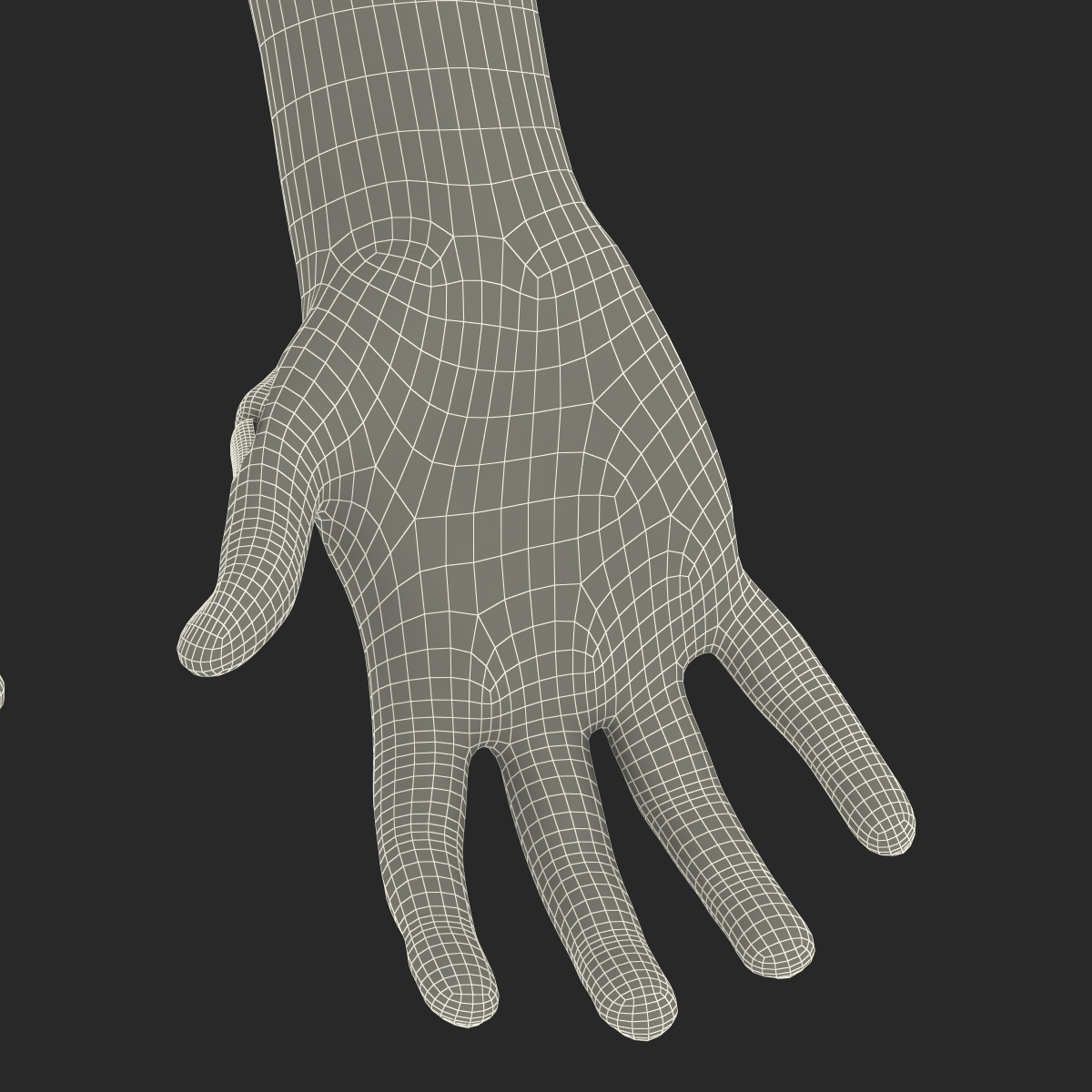 Zombie Hands Rigged 3D model