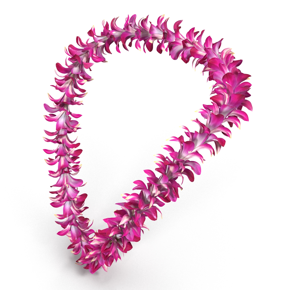 Hawaiian Lei 3D