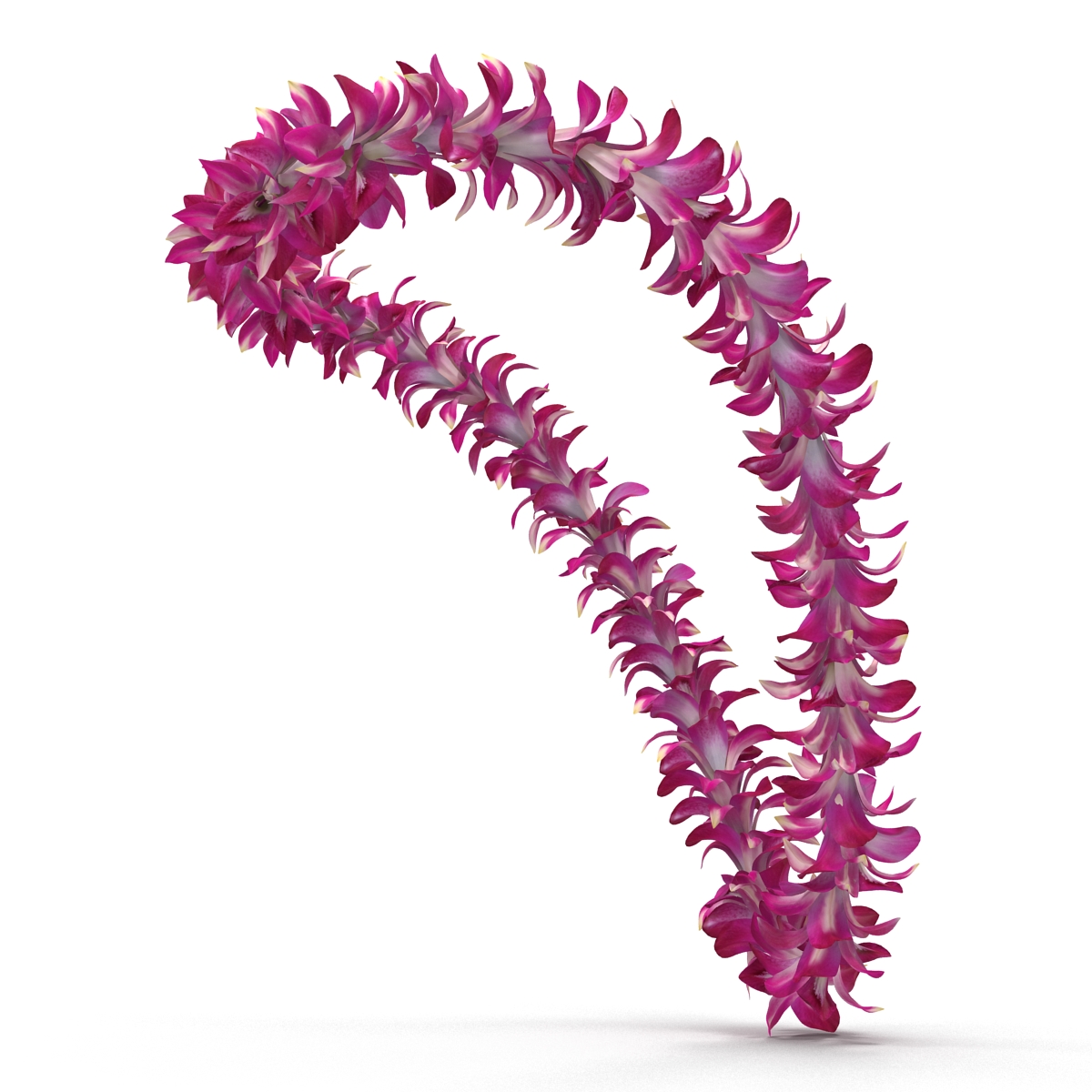 Hawaiian Lei 3D