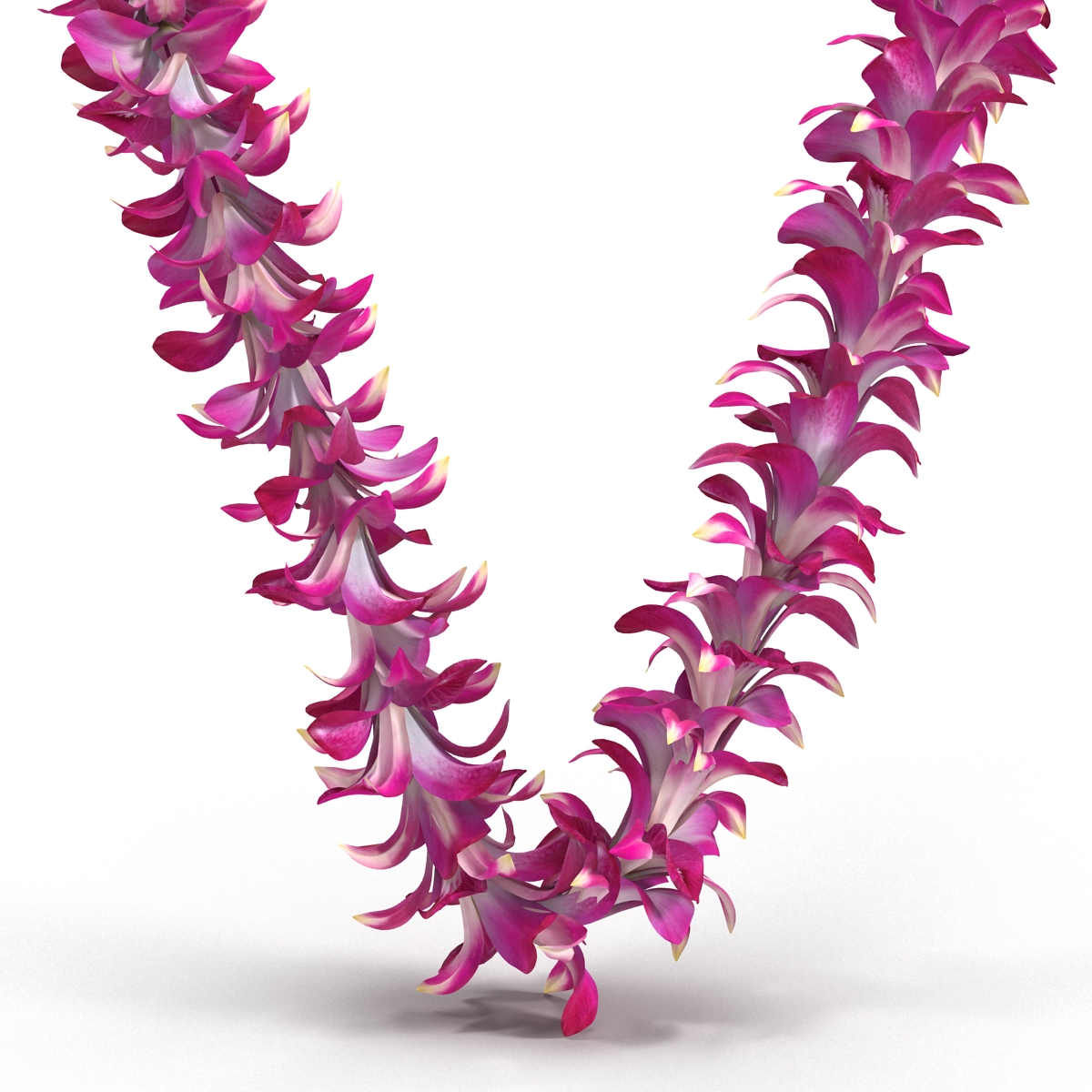 Hawaiian Lei 3D