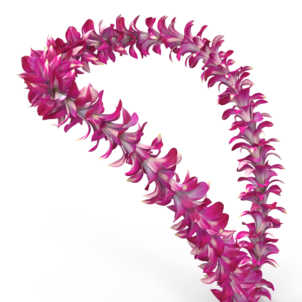 Hawaiian Lei 3D