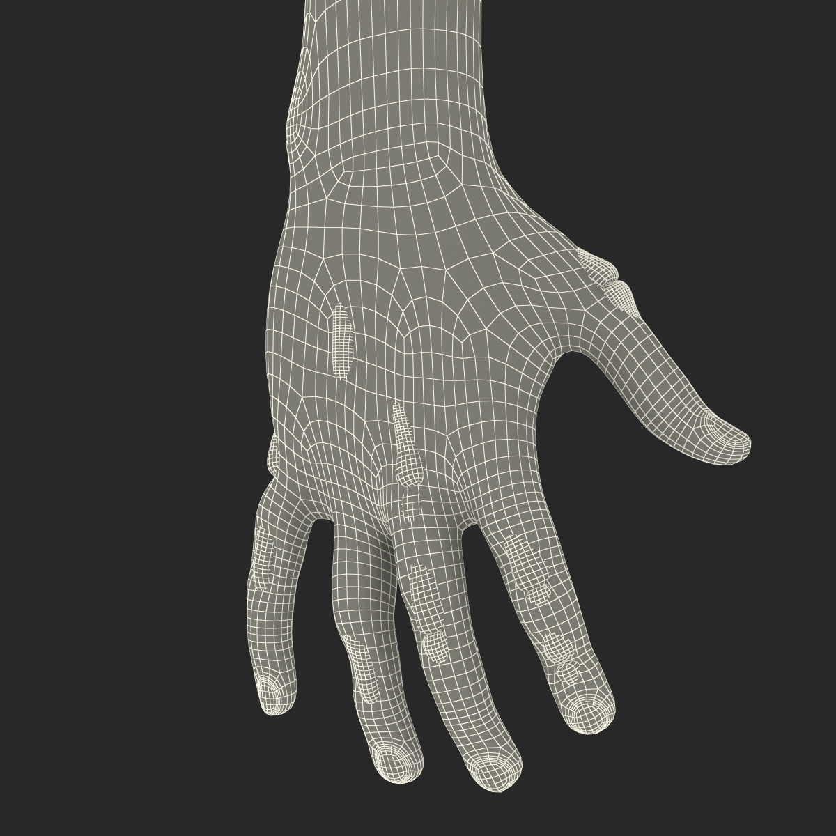 Zombie Hands 3D