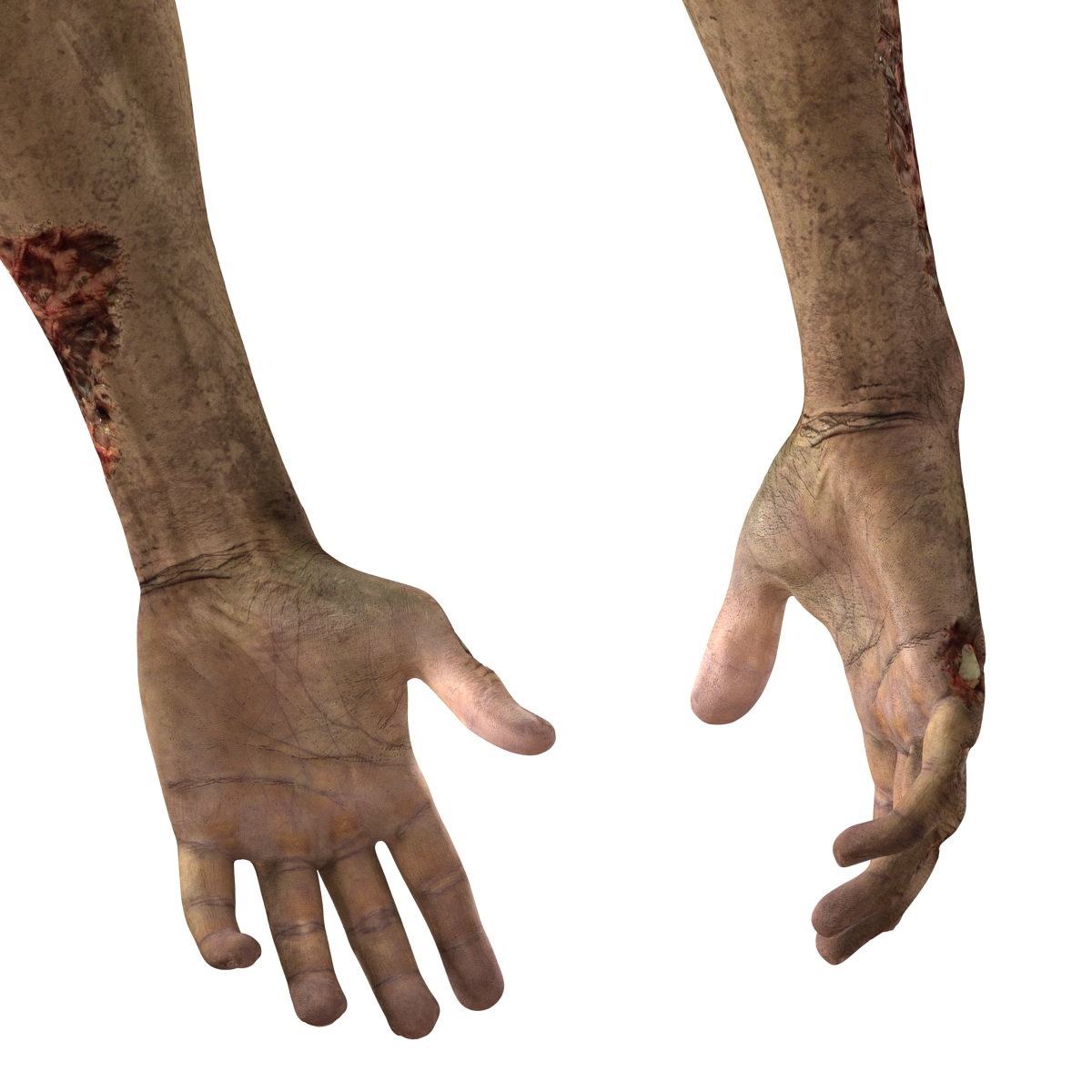 Zombie Hands Pose 2 3D model