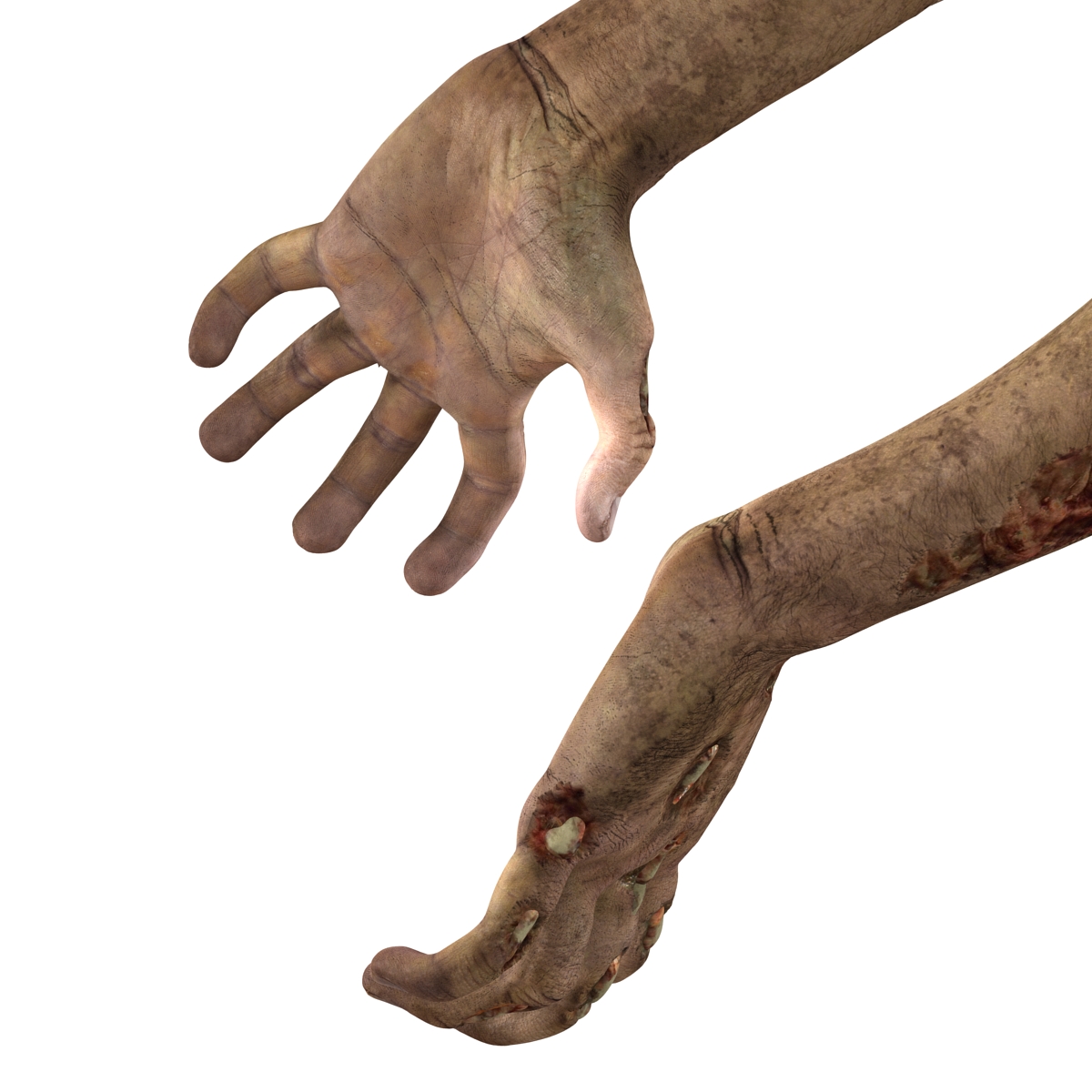 Zombie Hands Pose 5 3D model