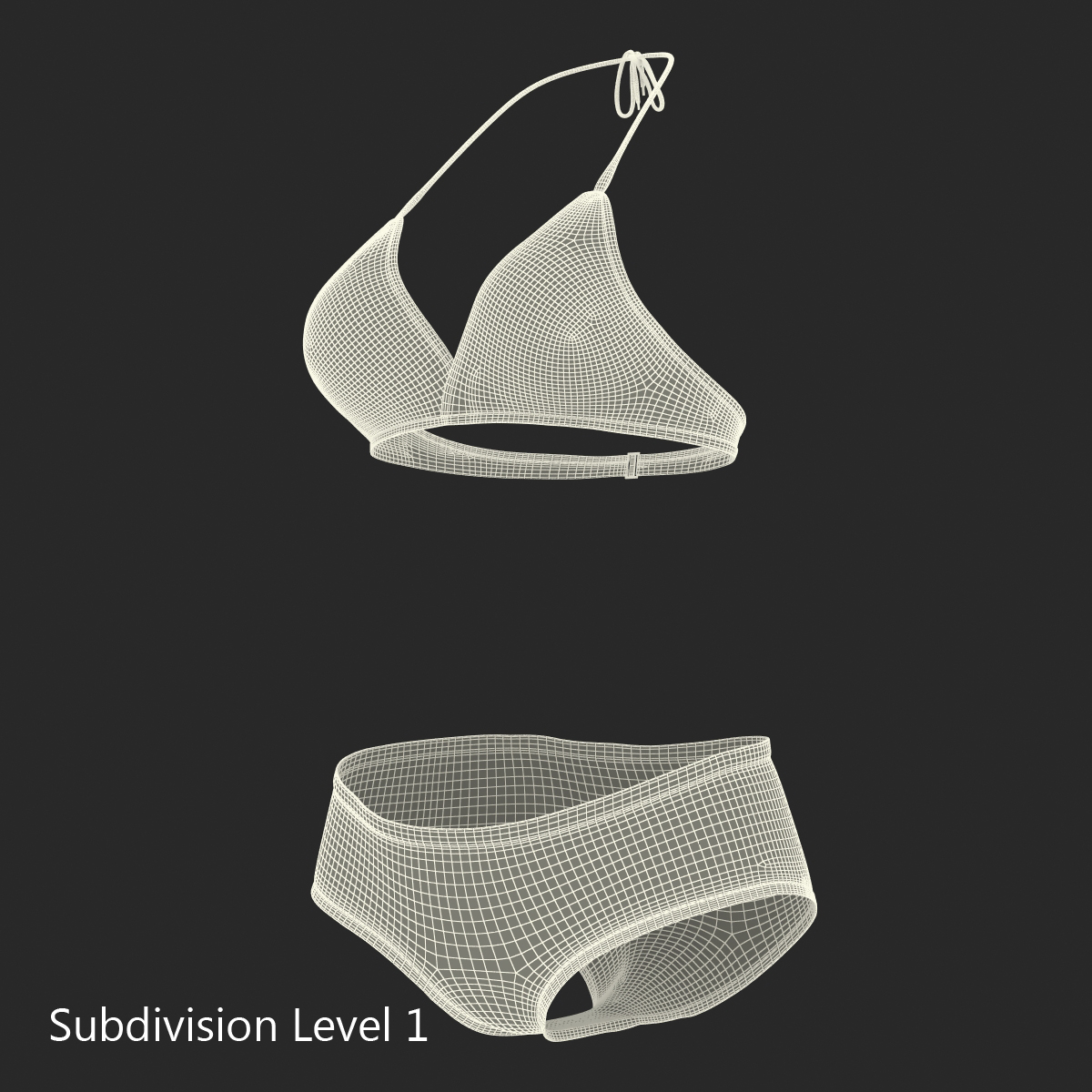 Bathing Suit 2 Gray 3D model