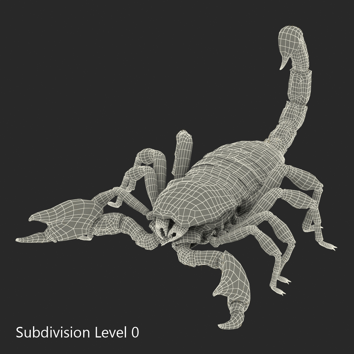 3D model Black Scorpion Rigged with Fur