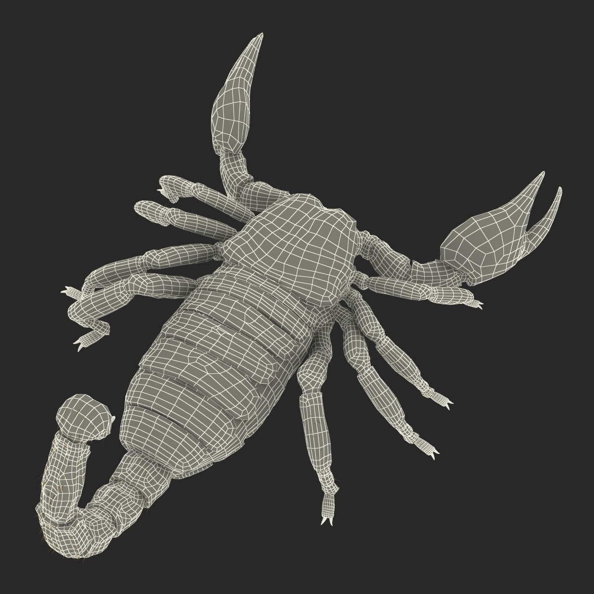 3D model Black Scorpion Rigged with Fur