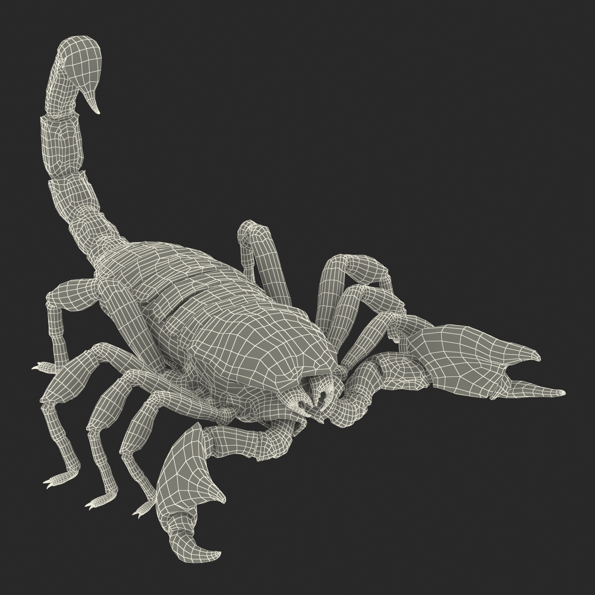 3D Black Scorpion Rigged