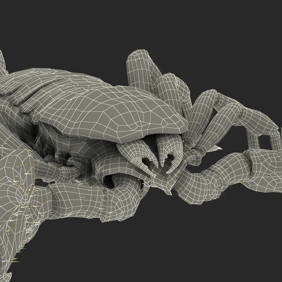 Scorpion Rigged with Fur 3D model