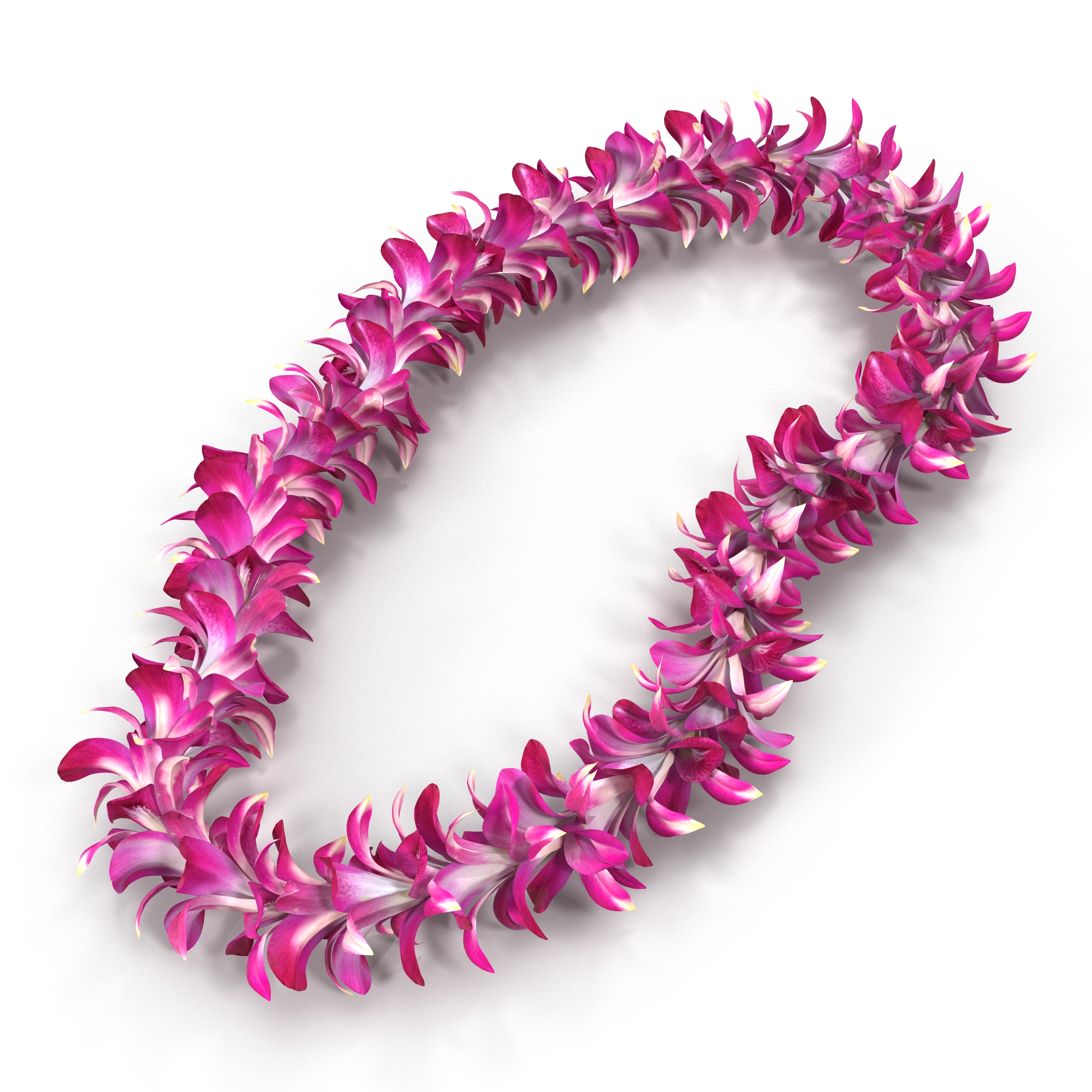 Hawaiian Lei 3 3D model