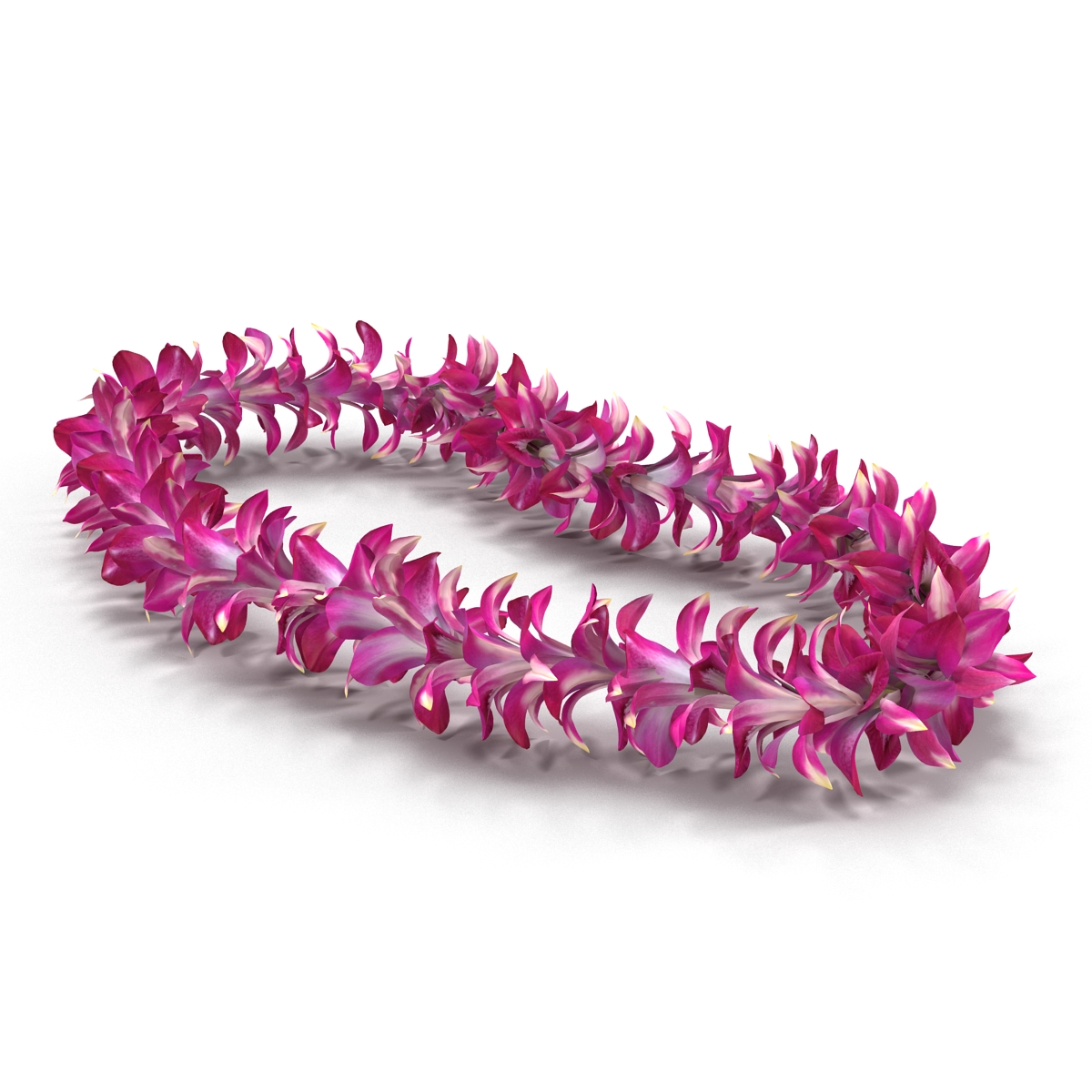 Hawaiian Lei 3 3D model