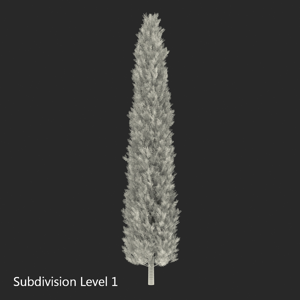 Cypress Tree 2 3D model