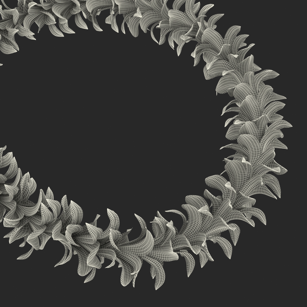 Hawaiian Lei 4 3D model