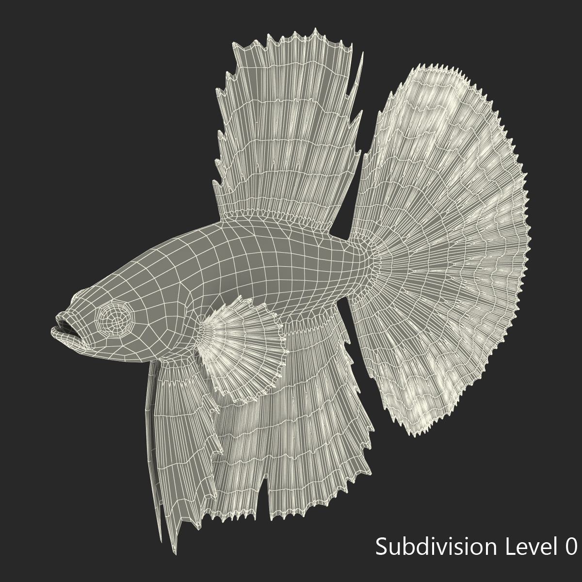 3D Betta Fish Rigged for Maya