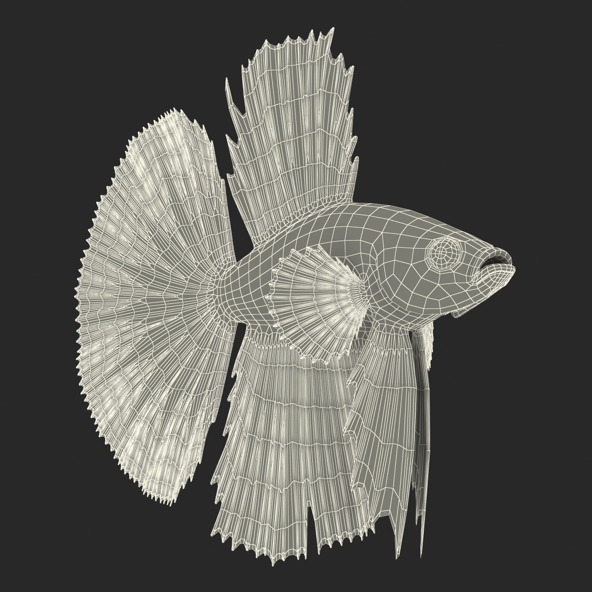 3D Betta Fish Rigged for Maya