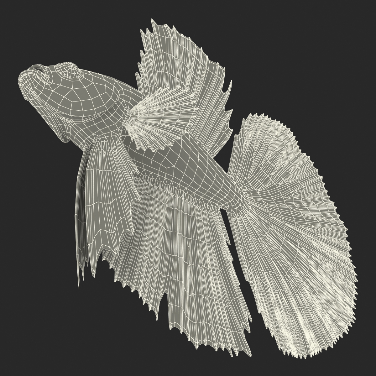 3D Betta Fish Rigged for Maya