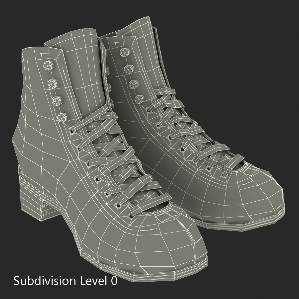 3D Women Boots