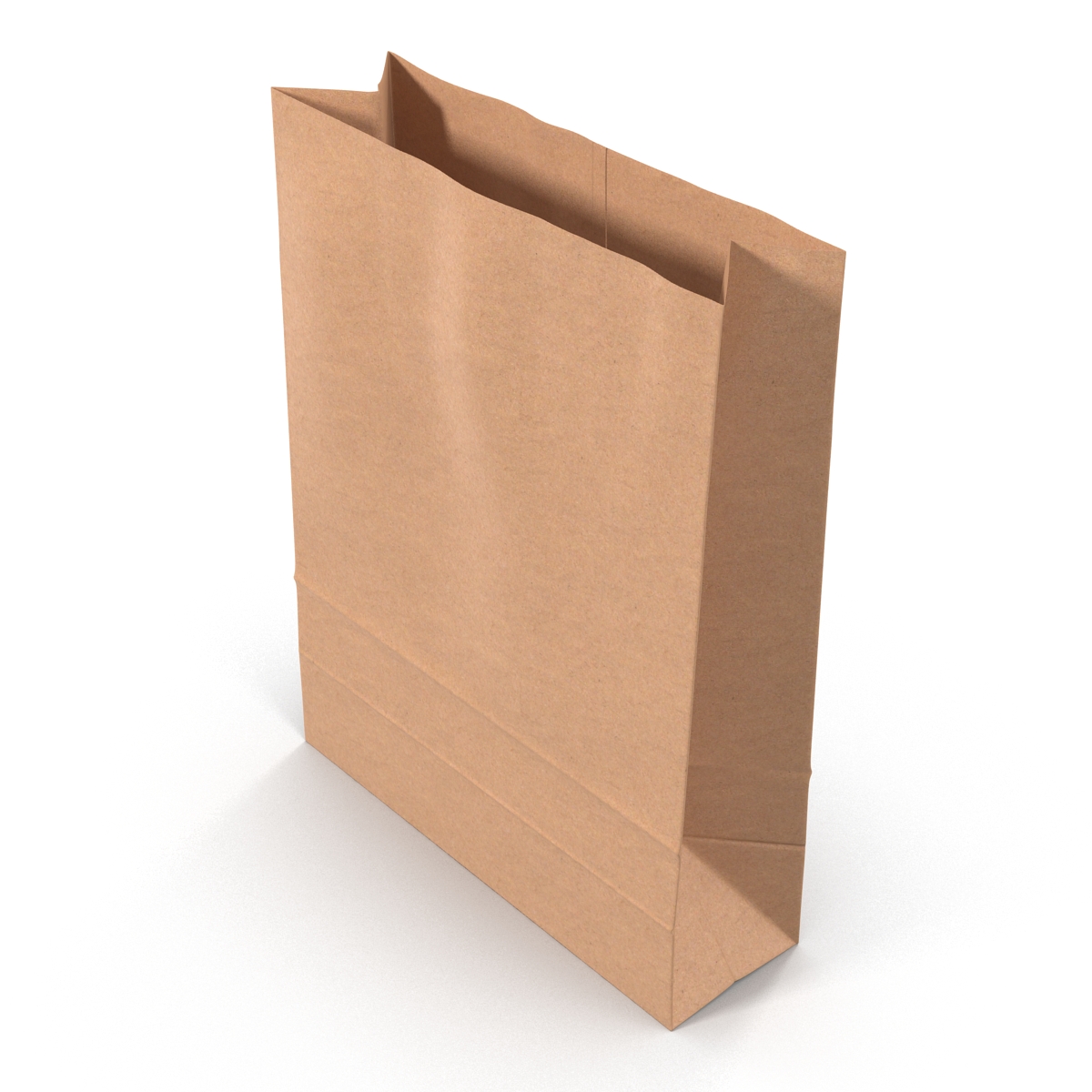 3D Paper Bag 5