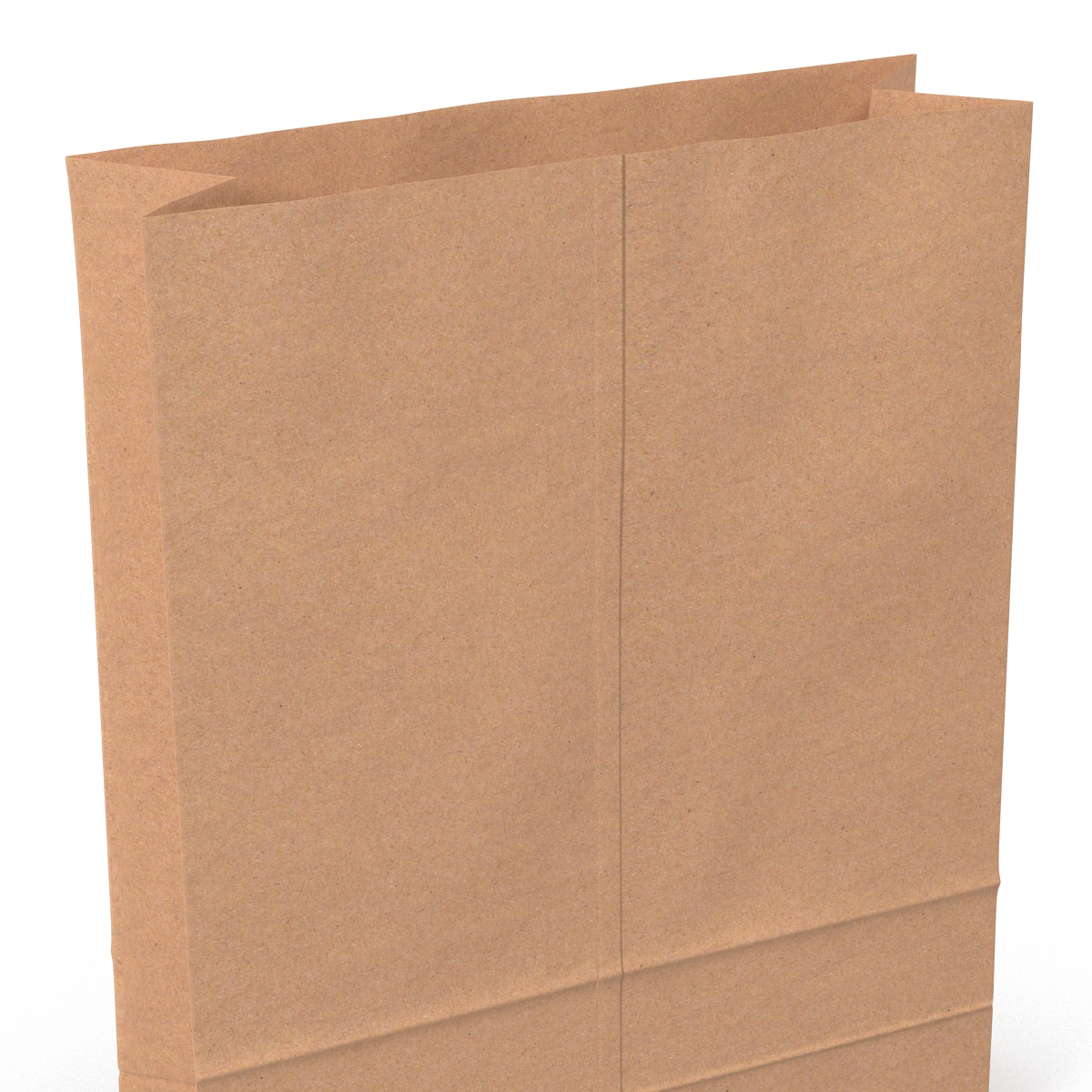 3D Paper Bag 5