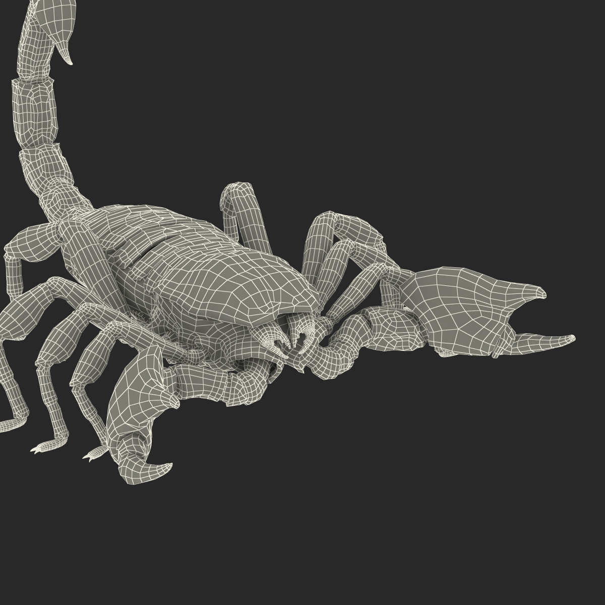 3D Black Scorpion with Fur model