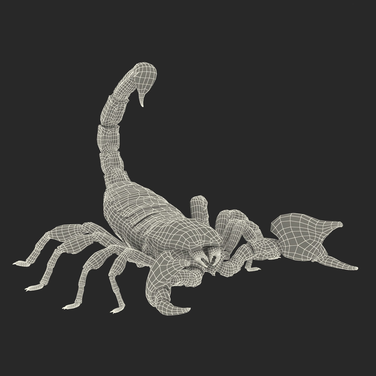 3D model Black Scorpion Pose 2 with Fur