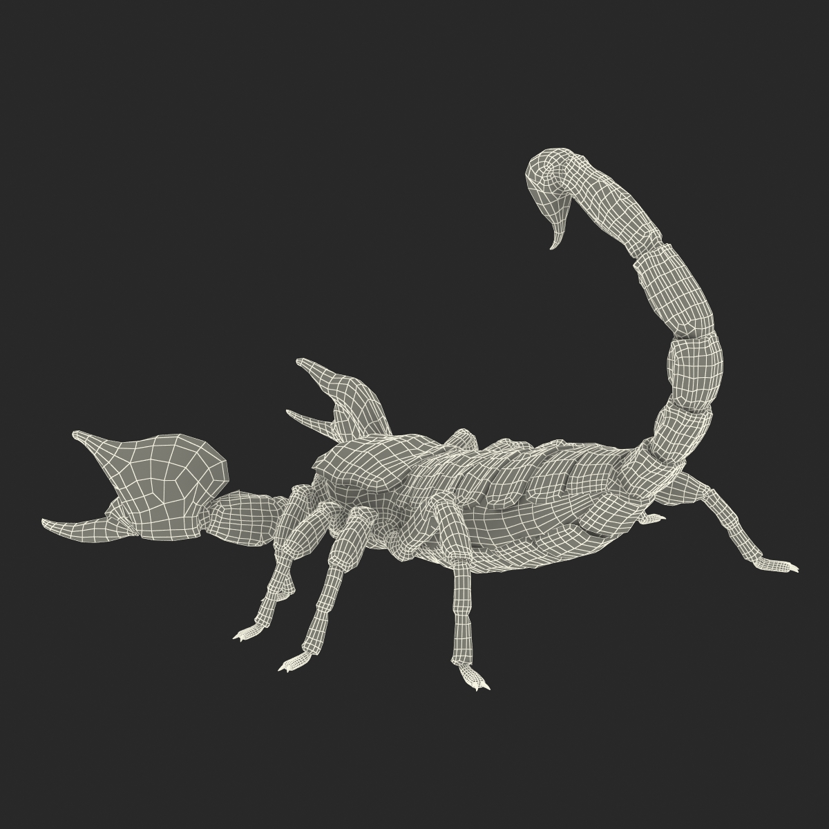 3D model Black Scorpion Pose 2 with Fur