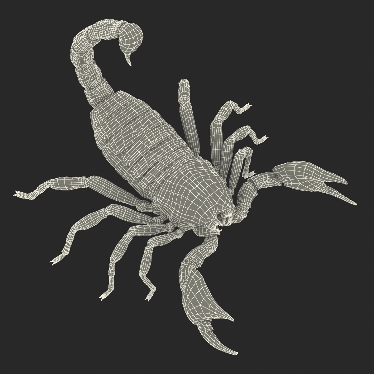 3D model Black Scorpion Pose 2 with Fur