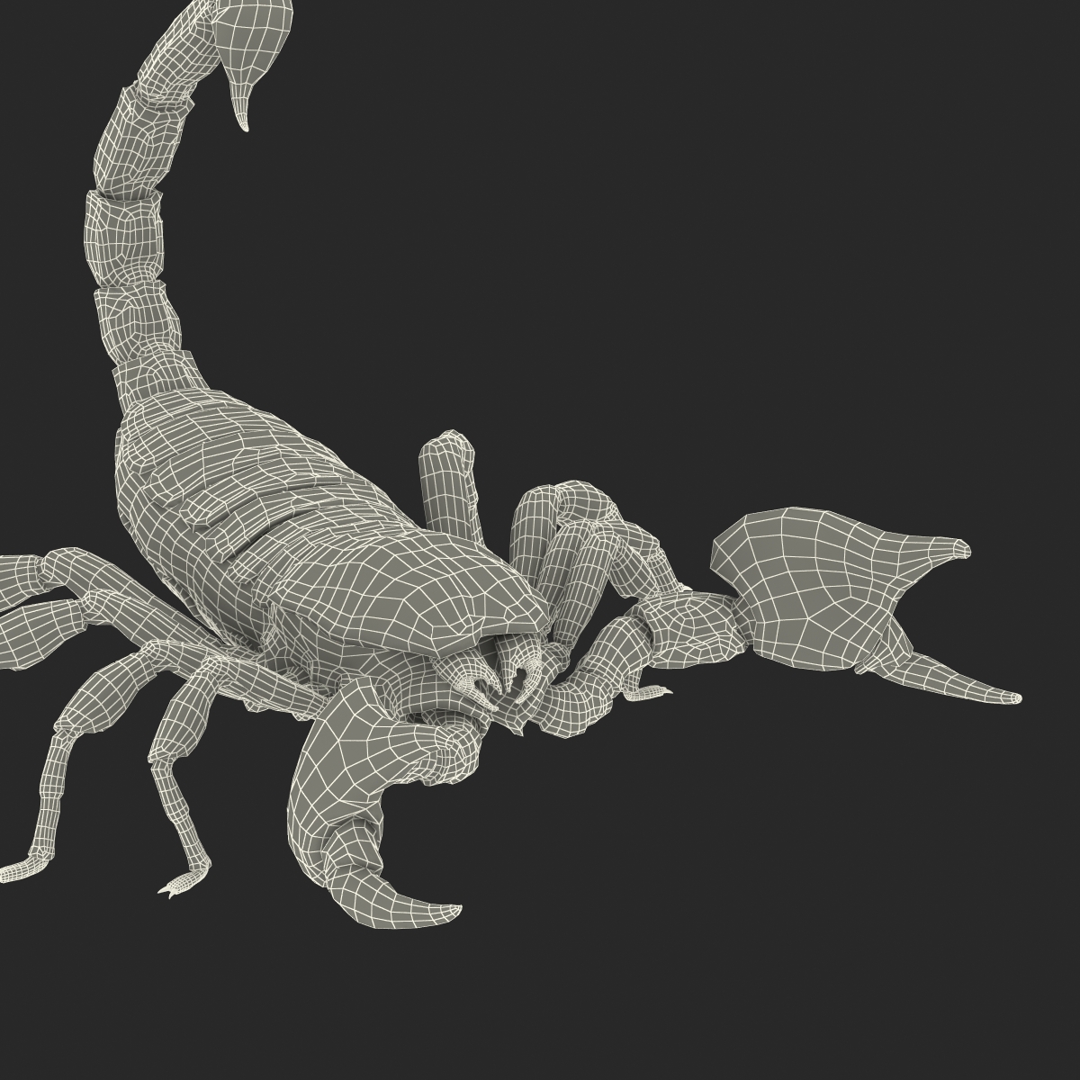 3D model Black Scorpion Pose 2 with Fur