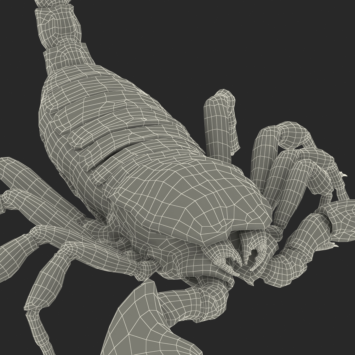 3D model Black Scorpion Pose 2 with Fur