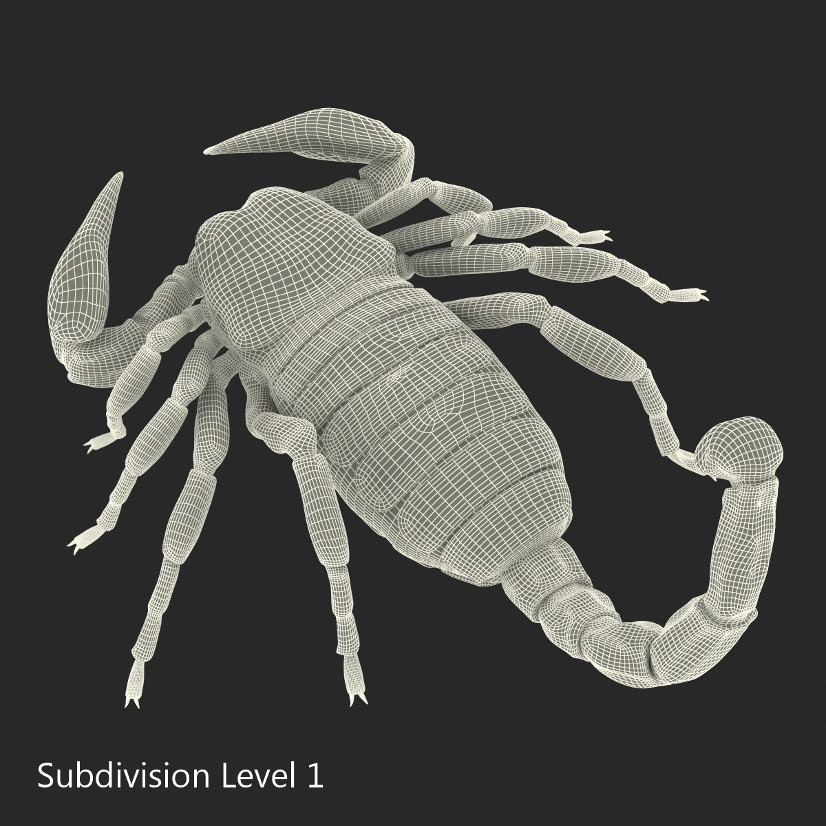 3D model Black Scorpion Pose 3 with Fur