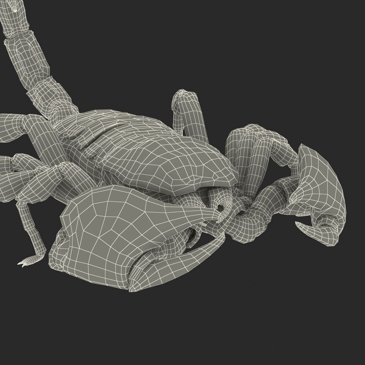 3D model Black Scorpion Pose 3 with Fur