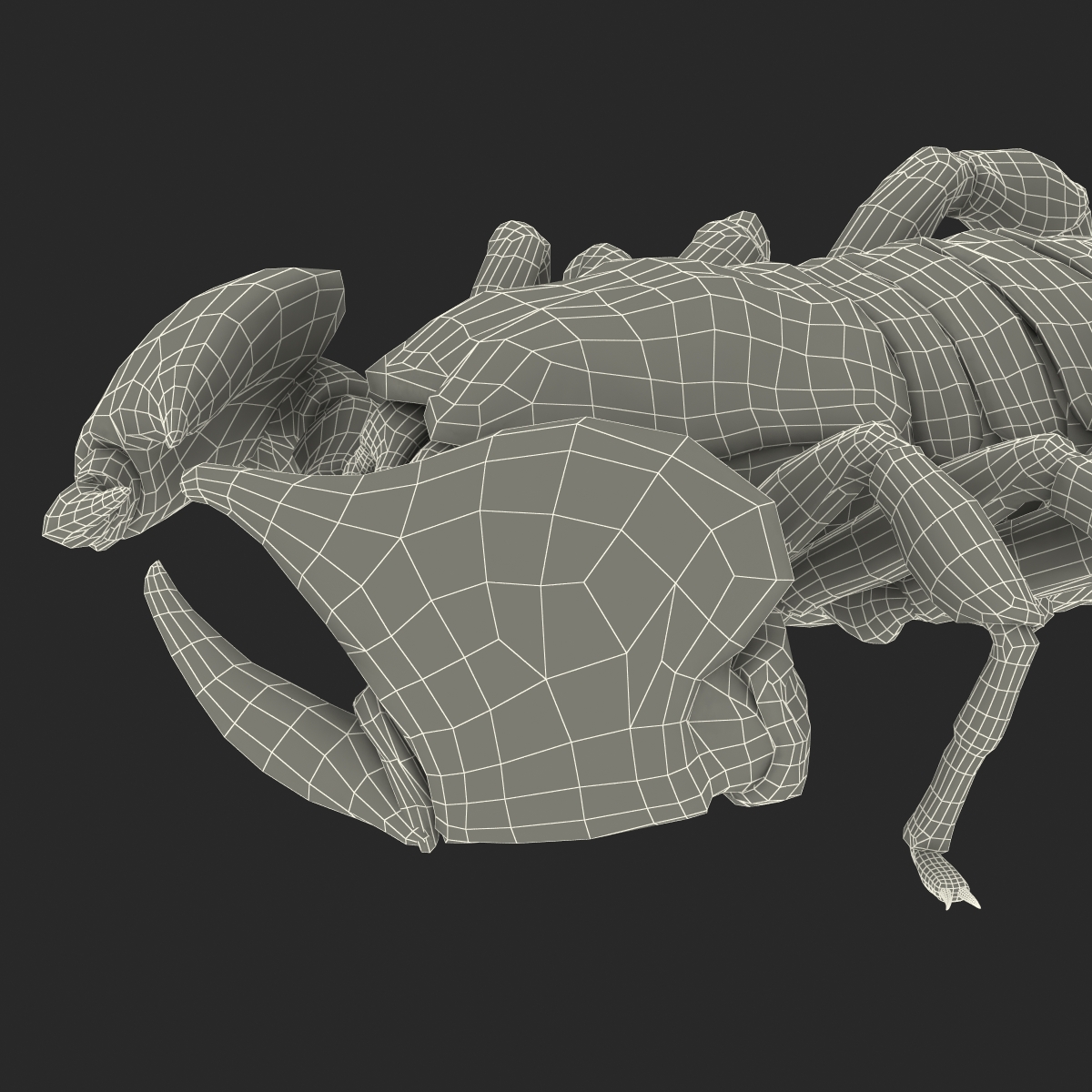 3D model Black Scorpion Pose 3 with Fur