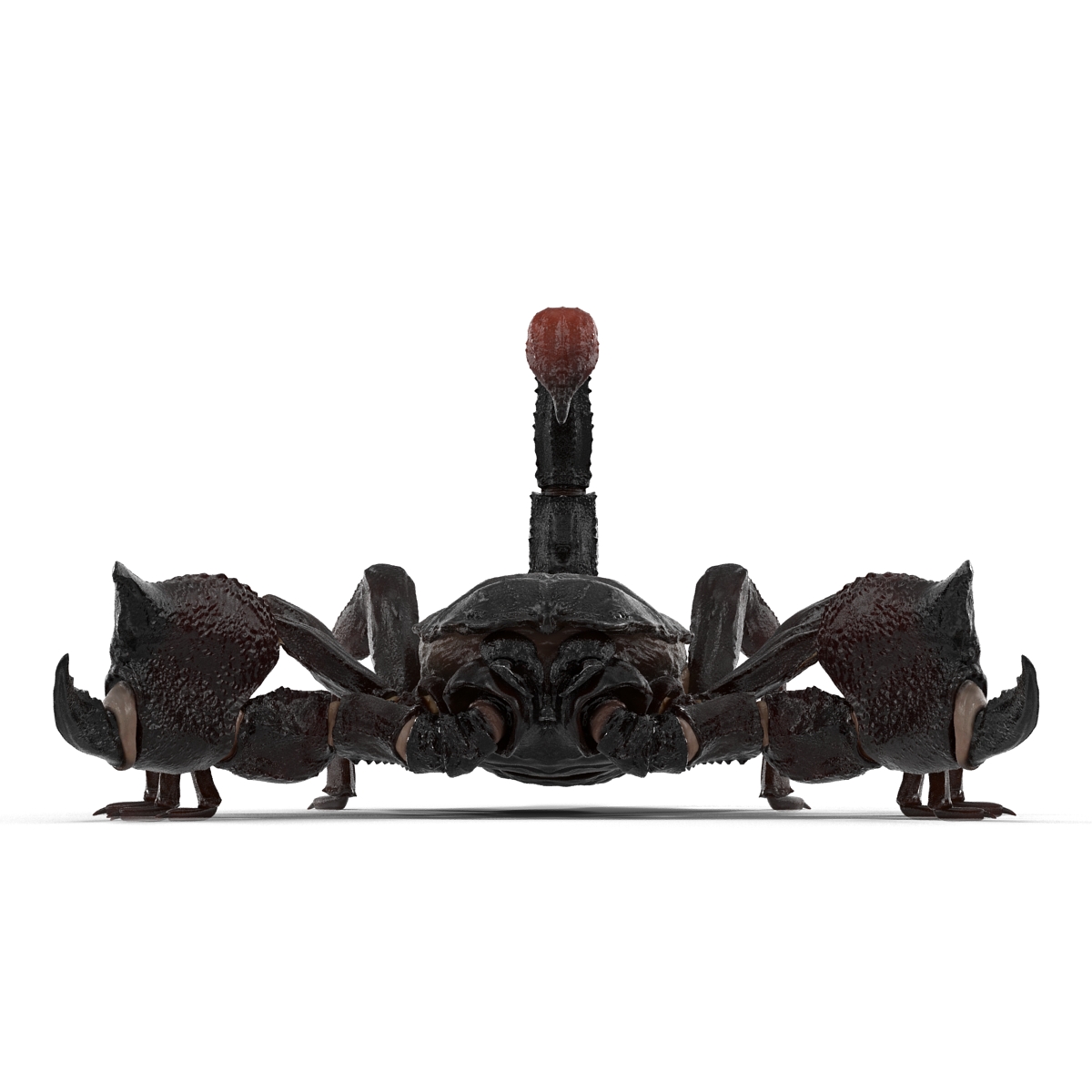 Black Scorpion 3D model