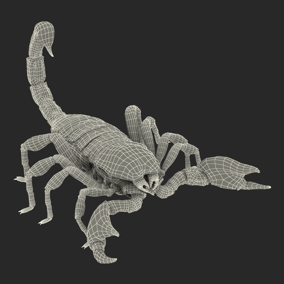 Scorpion with Fur 3D