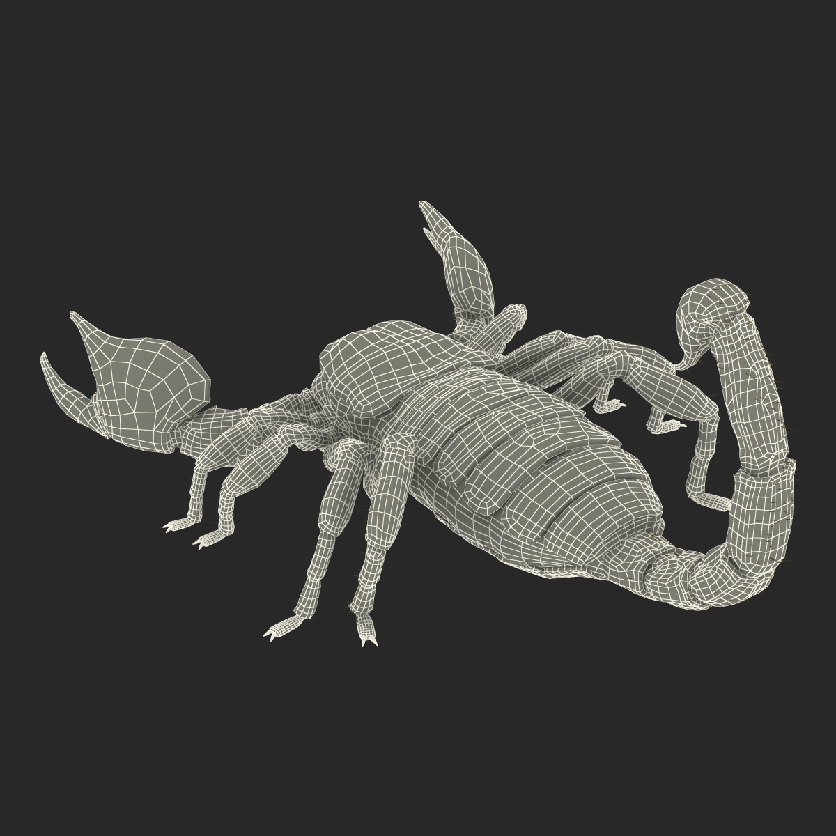 Scorpion with Fur 3D