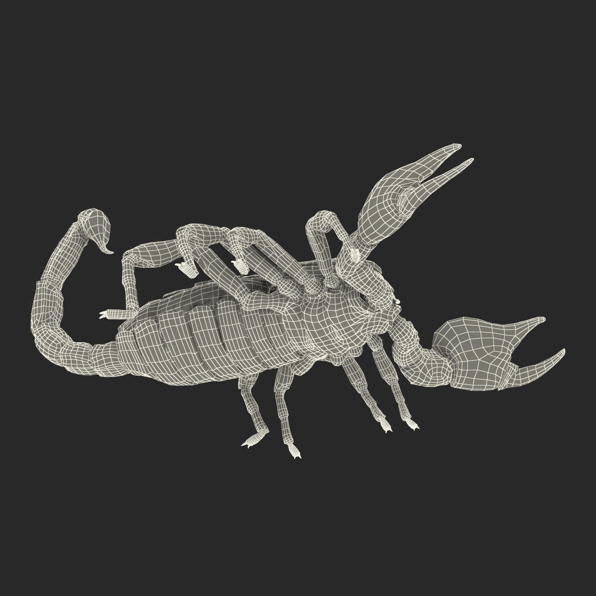 Scorpion with Fur 3D