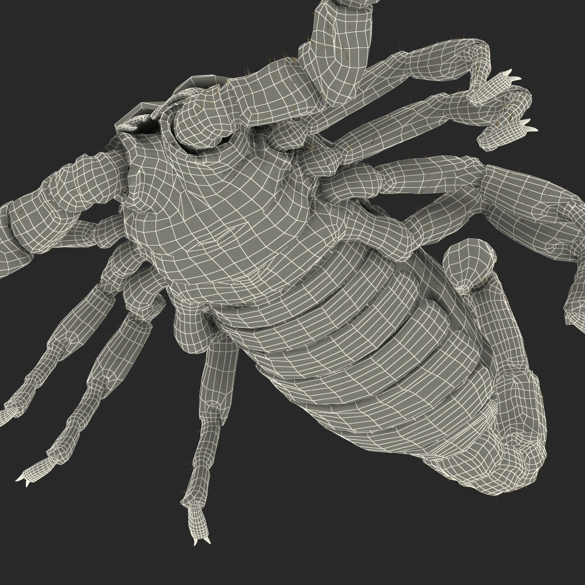 Scorpion with Fur 3D