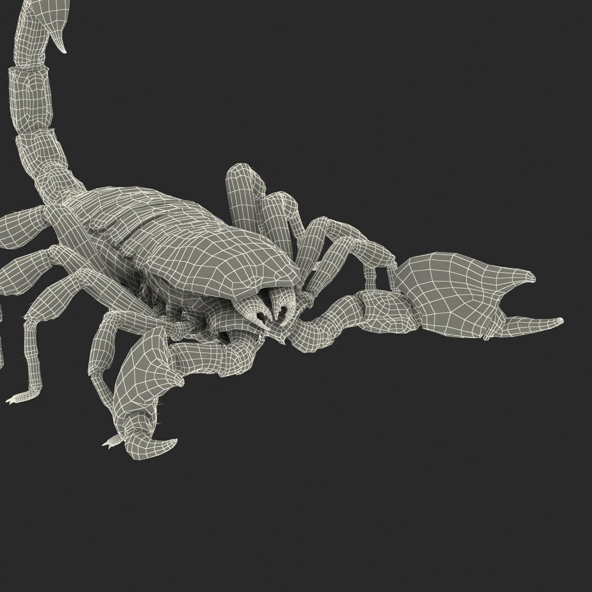 Scorpion with Fur 3D