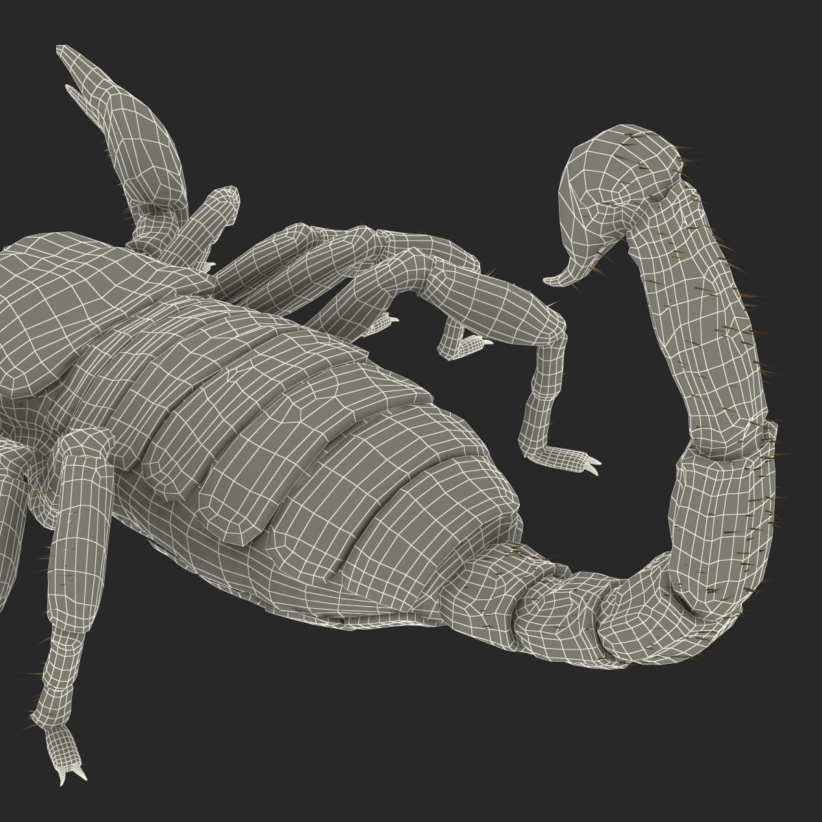 Scorpion with Fur 3D