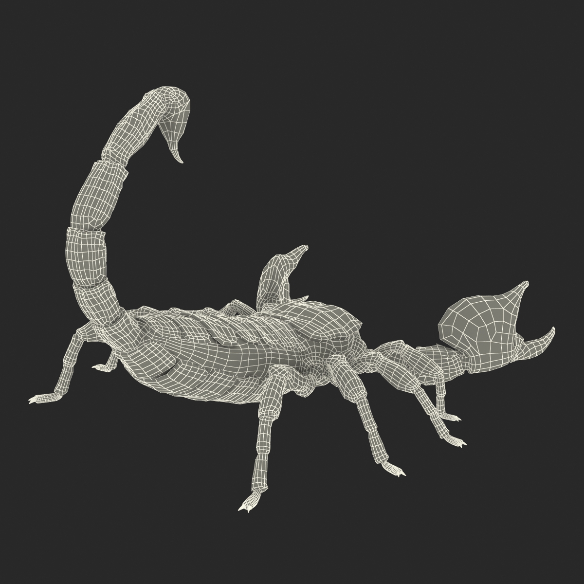 Scorpion Pose 2 with Fur 3D model