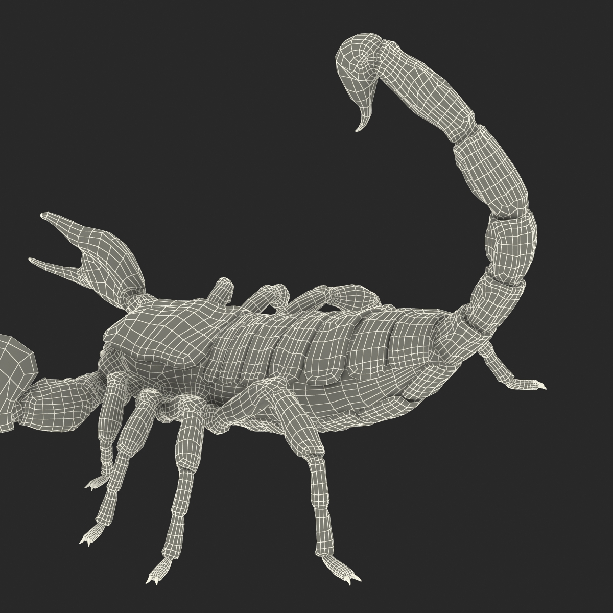 Scorpion Pose 2 with Fur 3D model