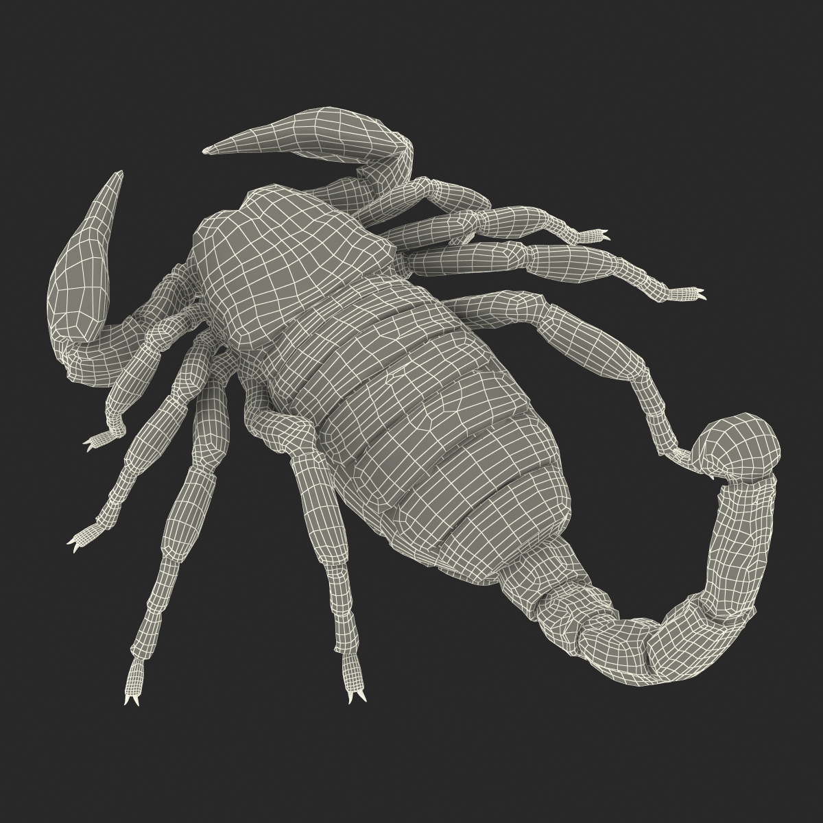 Scorpion Pose 3 with Fur 3D model