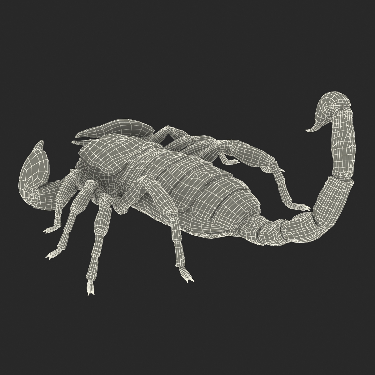 Scorpion Pose 3 with Fur 3D model