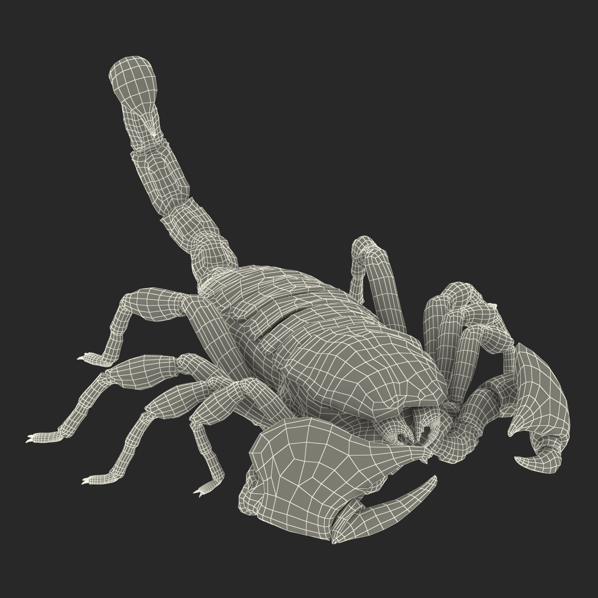 3D model Scorpion Pose 3