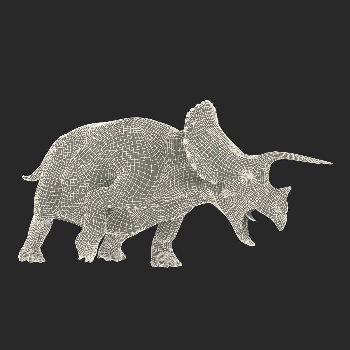 3D Triceratops Rigged model