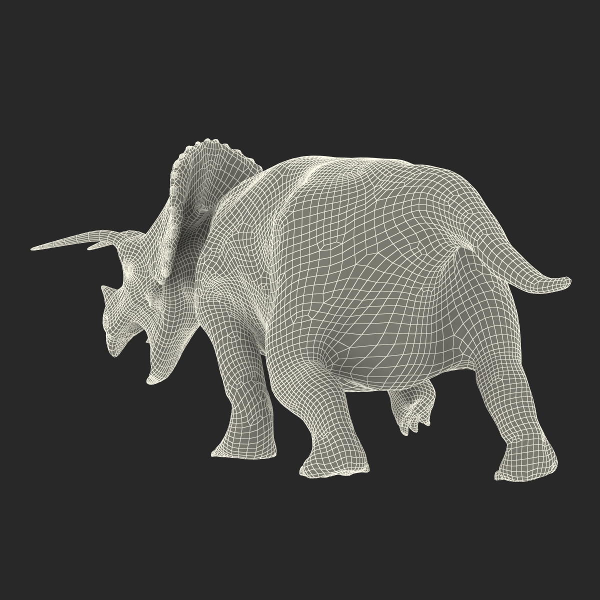 3D Triceratops Rigged model