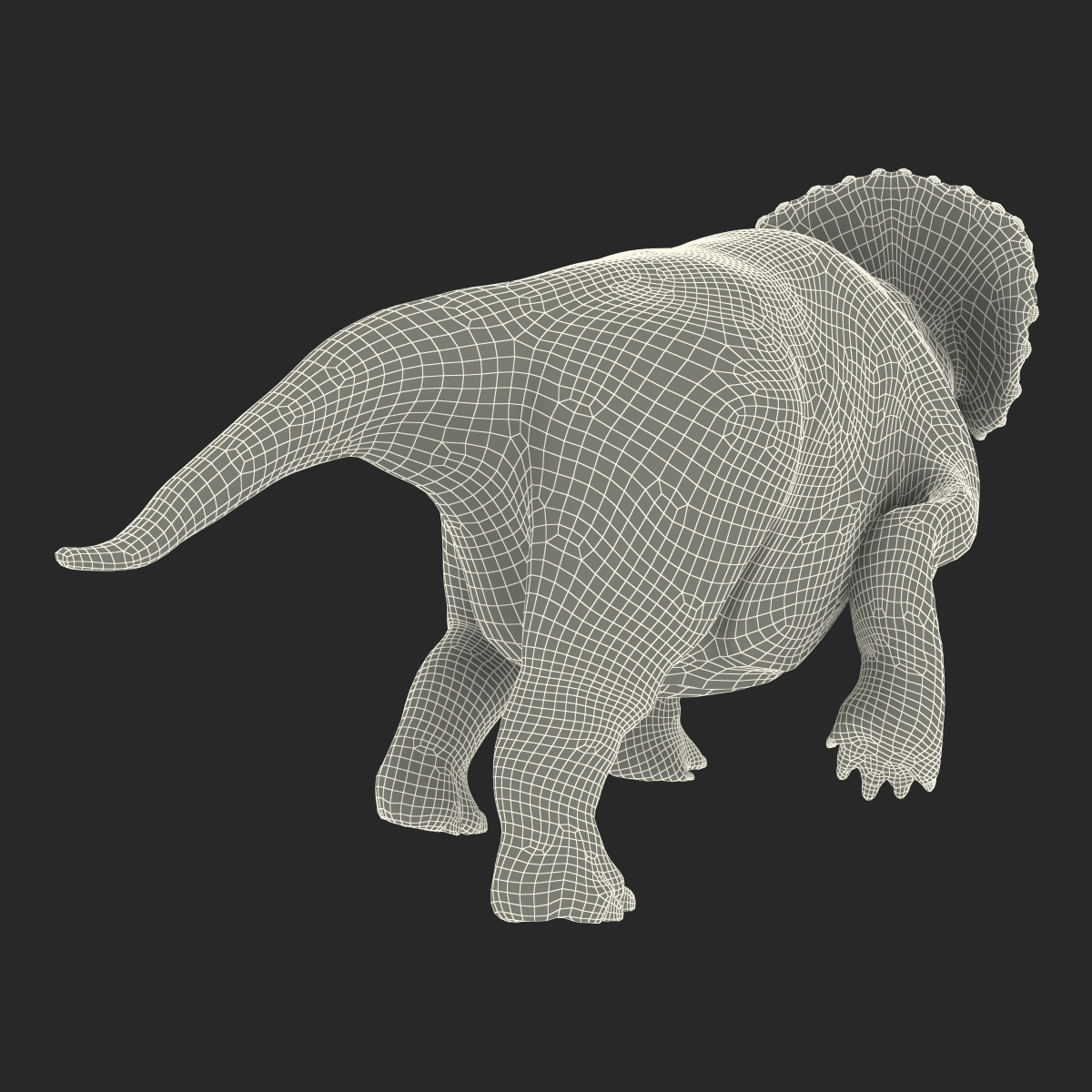 3D Triceratops Rigged model