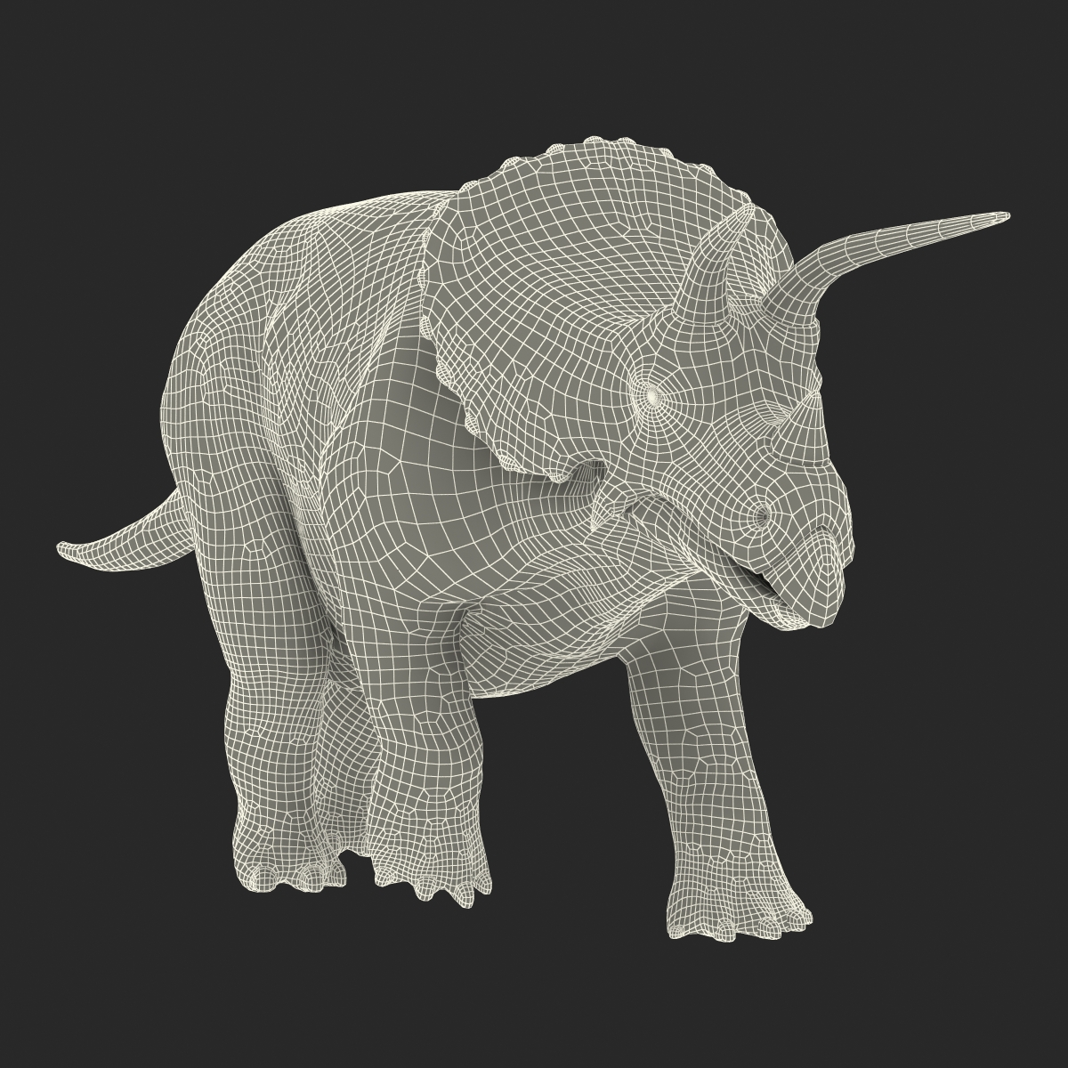 3D Triceratops Rigged model