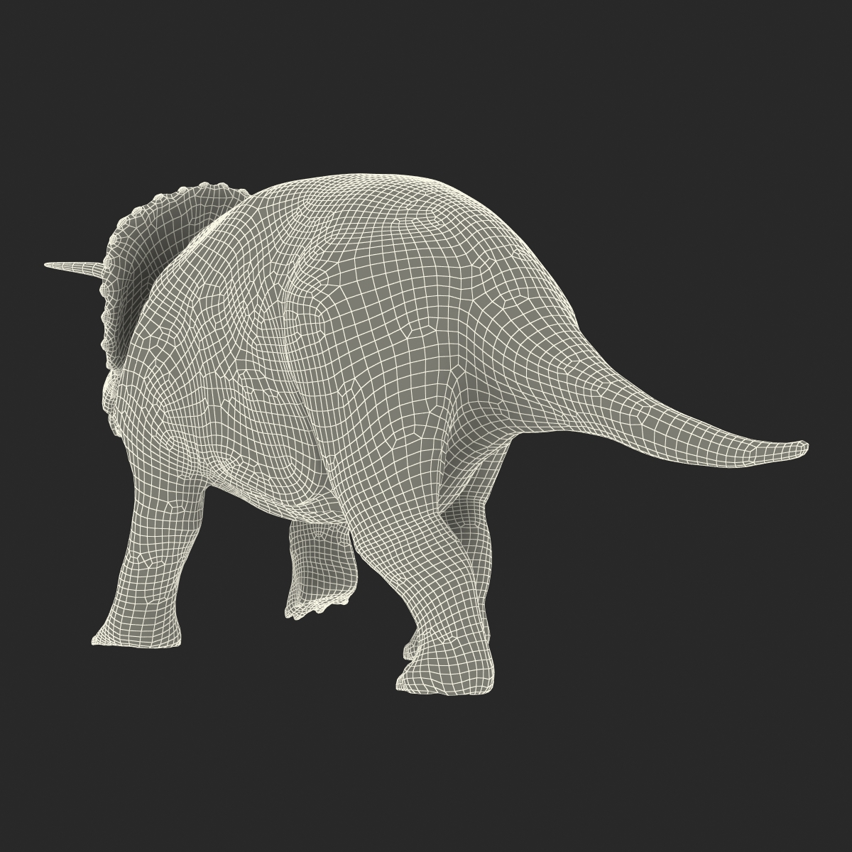 3D Triceratops Rigged model