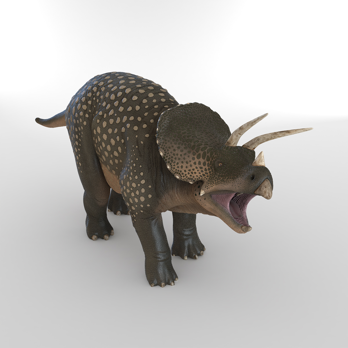 3D Triceratops Pose 2 model